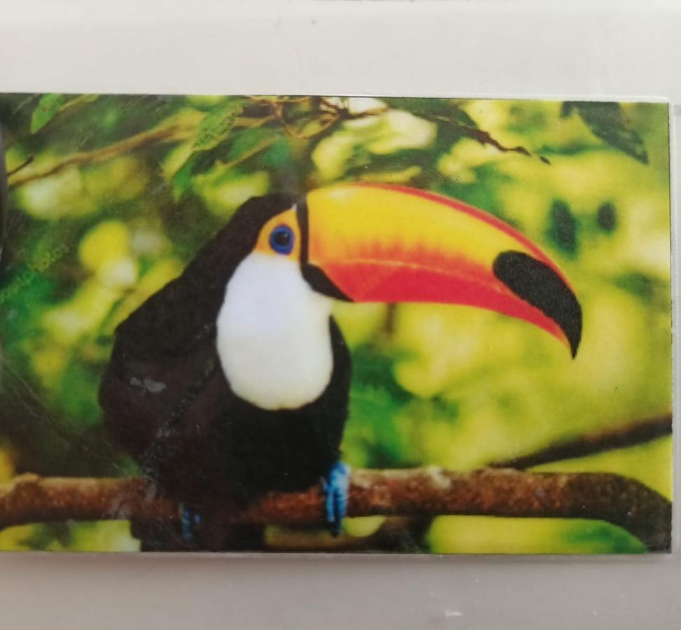 Tucan 신데 델 카르멘 외부 사진
